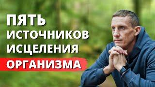Как сохранить здоровье и молодость | Пять источников исцеления