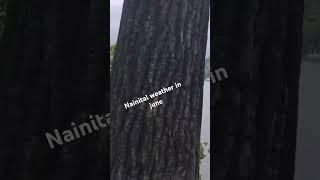 #nainital weather in June #traffic to much