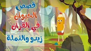 للأطفال ...قصص الحيوان في القرآن ( قصة النملة )