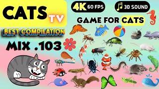 CAT TV - MIX 103   ULTIMATE Game Compilation  3 HOURS [CATS TV]