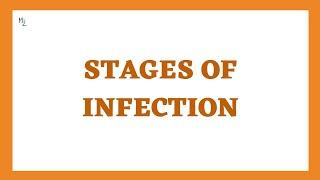 Stages of Infection or Disease in Microbiology (Incubation, prodromal, Illness, and Convalescence)