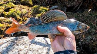 ОТКРЫТИЕ СЕЗОНА ! РЫБАЛКА | ХАРИУС, ПОРОГИ и ТАЙГА ! Река ПЕЗО