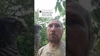 Все птицы мира мои 