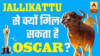 Jallikattu: Story Of A Malayalam Movie That Could Get India An Oscar! | ABP News