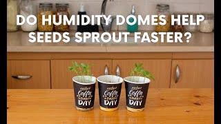 Do Humidity Domes Help Seeds Sprout Faster?