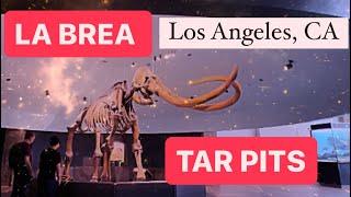 4K Walking tour of the La Brea Tar Pits Museum in Los Angeles, CA