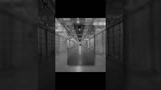 The Bloody Battle of Alcatraz #alcatrazprison #alcatraz #escapeattempt