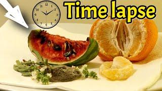 Fruit Decomposition Time lapse