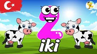 تعليم الأطفال الأرقام من 1الي 10 بالعربية والانجليزية وغيره من اللغات - تعليم اللغات للأطفال