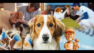 BARK AT THE PARK! OVER 50 MINUTES of INCREDIBLE DOGS at MLB ballparks (Ft. Decoy and other pups!)