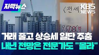 [자막뉴스] 일단 멈춘 집값…내년 전망은 전문가도 "판단 곤란"/ KBS 2024.12.23.