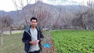 Oshikhandass Gilgit Baltistan Pakistan Life Show Daily Mountain Pass