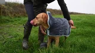 Henry Wag Dog Drying Coat #dog #dogcoat #pampereddogs #dogadventures #dogs