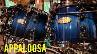 Appaloosa - Gino Vannelli Drum Cover by Jeff Wald #ginovannelli #appaloosa