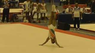 Ashish Kumar (IND) - 2014 Commonwealth Invitational - Floor