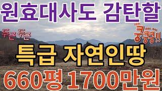 찾았다~ ,특급 자연인땅 발견 1000만이하 도전~ 660평1700만원(더보기참고)