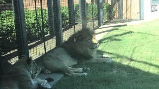 A tour of the University of North Alabama