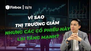 Vì sao thị trường giảm nhưng các cổ phiếu này lại tăng mạnh?