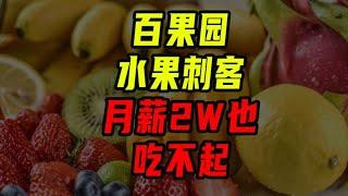 水果刺客，月薪兩萬也吃不起！【沈帥波】