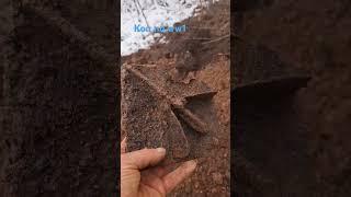 Коп по первой мировой в Латвии #germanmilitary #metaldetecting #xpdeusdetector #digging #deus #army