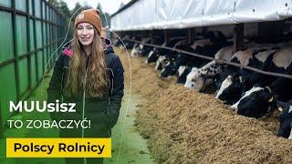 Hodowla bydła mlecznego u Janka@vvictoiy  I Polscy Rolnicy