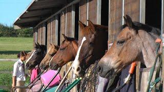 TVH Pony Club Camp 2012