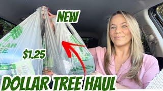 DOLLAR TREE HAUL | NEW| CAR HAUL| AMAZING BRAND NAME ITEMS