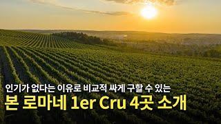 [Eng.sub] 비교적 저렴한 가격에 경험해 보세요! 본 로마네 1er Cru (La Croix Rameau, Clos de Reas, Les Rouges, En Orveaux)