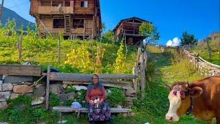 Two Hours of Real Life in the Villages of Northern Turkey: Cooking the Rustic Way