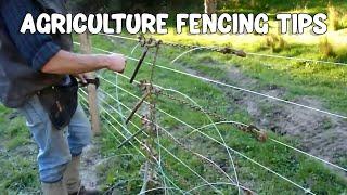 Best Agriculture Fencing Tips