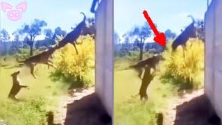 These Scary Videos Are Not For You!