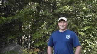 New Hampshire Fish and Game Bear Biologist Talks Counting Nuts.