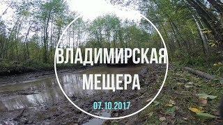 Владимирская Мещера 7 октября 2017