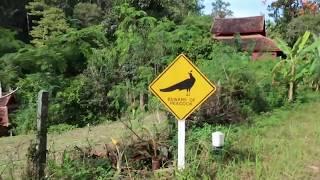 Bike ride up to Mon Chaem viewing point, Thailand