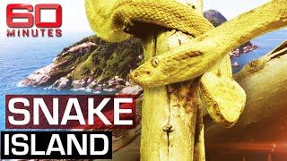 The deadliest place on earth: Snake Island | 60 Minutes Australia