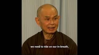 Going Home - Thich Nhat Hanh