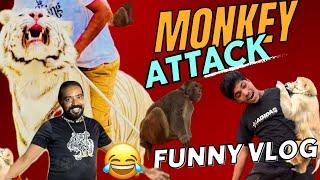 Lion And Monkey Attack  | Aj Bach gaya yeh | Asif shero wala