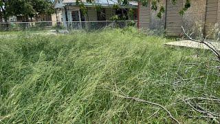 I FOUND a HIDDEN DRIVEWAY UNDERNEATH all this OVERGROWTH while mowing this yard for FREE