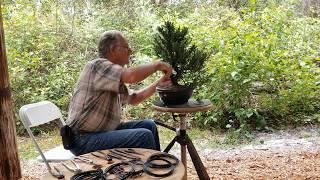 Schley's Bonsai Juniper Demo Kawa Bonsai Society Guest Artist Mike Rogers