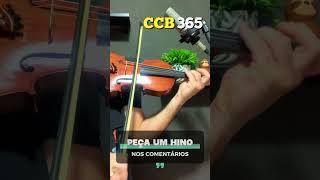 Hino CCB 365 - "Contrito, venho a Ti" - Tocado Violino #hinosccb #ccb #hinotocado #violinoccb