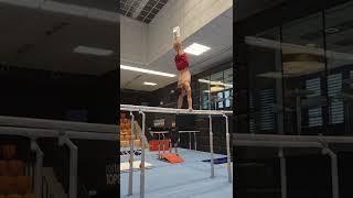 Guy Shows off Impressive Gymnastics Skills on Parallel Bars - 1374165-2