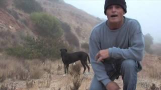 Nick Hernandez ~  Its Alright