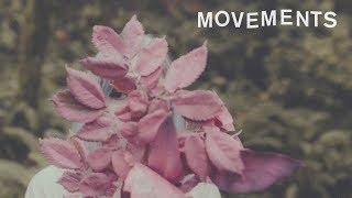 Movements - Daylily (Official Music Video)