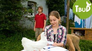 Turteltaube (Folge 11) | Tiere bis unters Dach