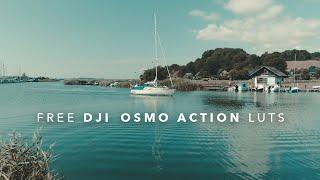 D-Cinelike | FREE DJI Osmo Action CINEMATIC color grading LUTS! | Osmo Pocket & DJI Mavic Pro