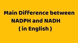 Difference between NAD, NADH , NADP and NADPH ( in detail )| For XII, B.Sc. and M.Sc.