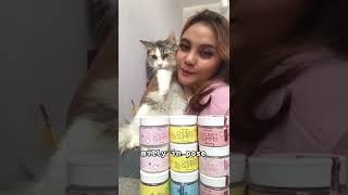 Kucing Mix Mainecoon kayak gimana makananya??