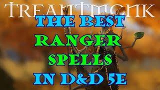 The Best Ranger Spells in D&D 5e