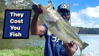 90% Of Bank Anlgers Make These Common Mistakes| Why Your're Not Catching As Many Fish Pt1