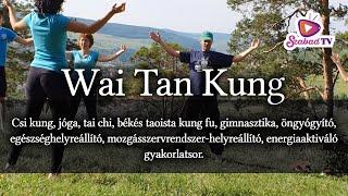 Wai tan kung: csi kung, jóga, tai chi, békés taoista kung fu, gimnasztika, öngyógyító...